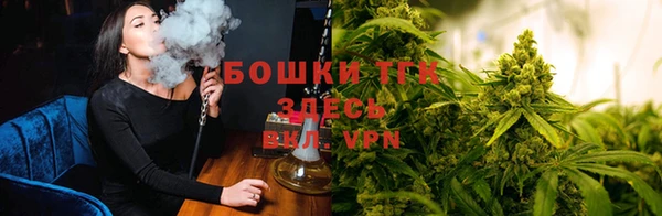 spice Горняк