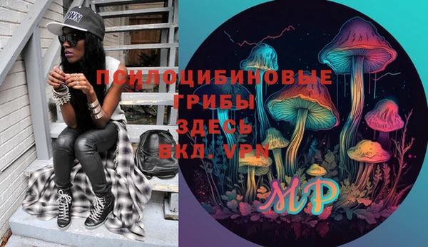 дмт Горно-Алтайск