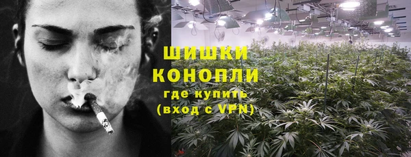 молекула духа Горнозаводск