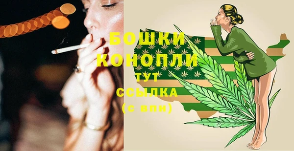 молекула духа Горнозаводск