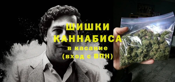 дмт Горно-Алтайск